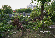 Що наробила стихія в парках Харкова (фото)