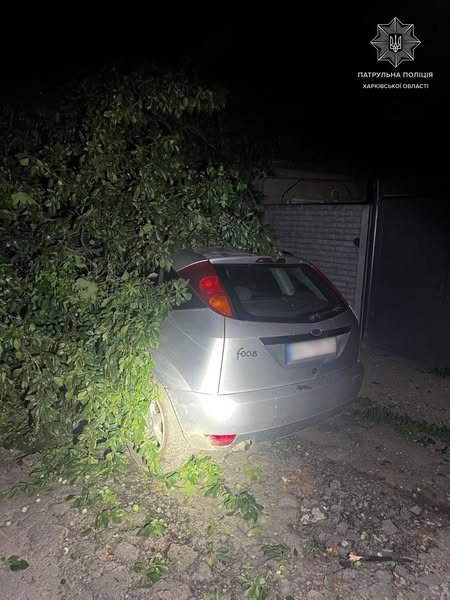 У Харкові водій авто врізався у дерево