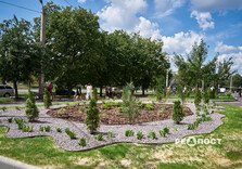 Яскраві квітники з'явилися у Слобідському районі Харкова (фото)
