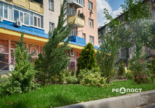 Яскраві квітники з'явилися у Слобідському районі Харкова (фото)