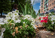 Яскраві квітники з'явилися у Слобідському районі Харкова (фото)