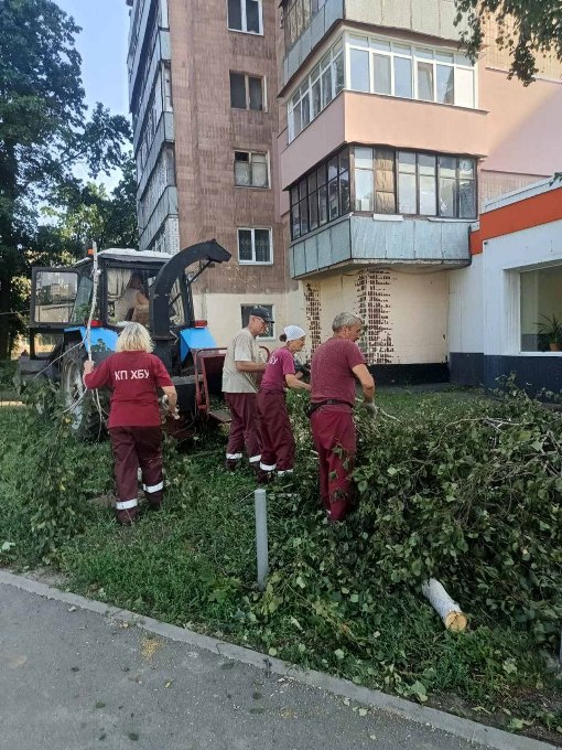 У Харкові після буревію розпиляли понад 180 дерев