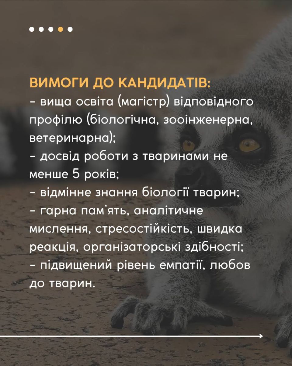 Запрошує на роботу зоопарк: Новини Харкова