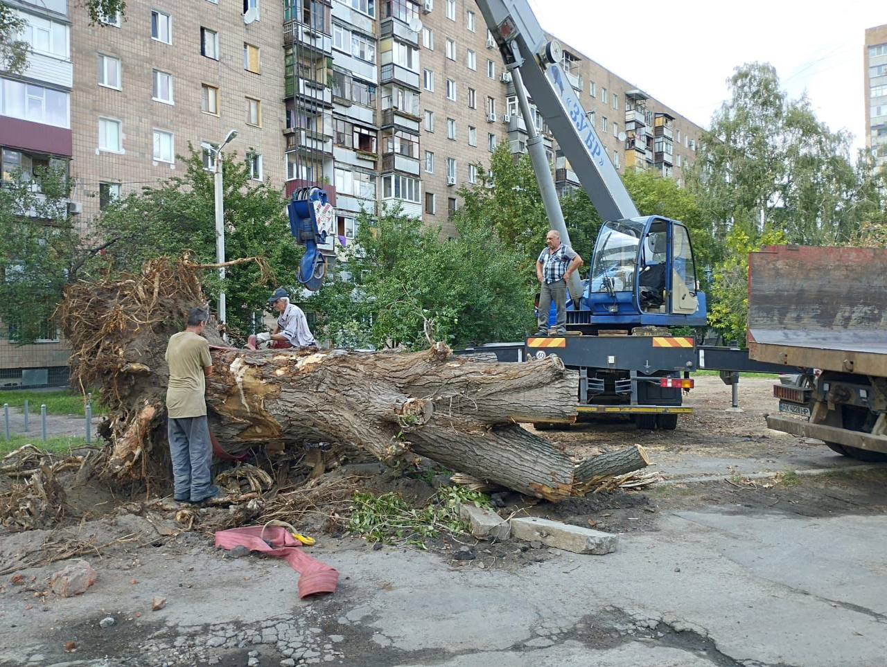 Усувають наслідки буревію комунальники міста: Новини Харкова