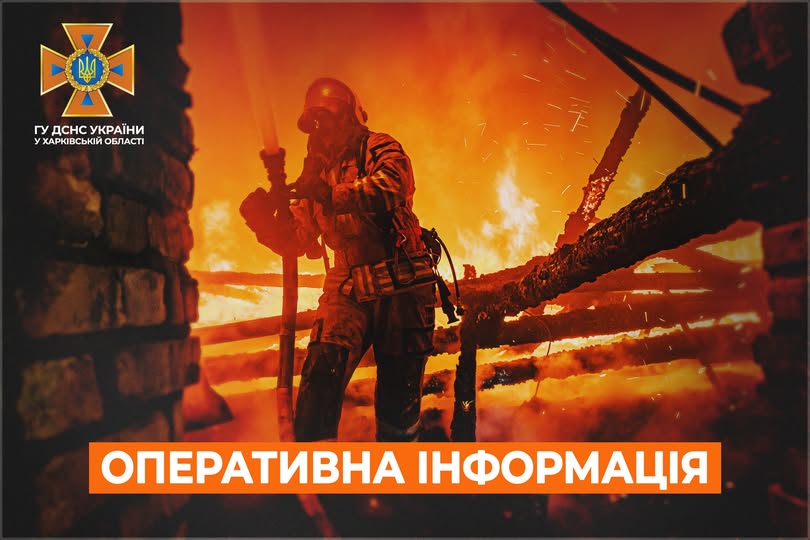 дснс