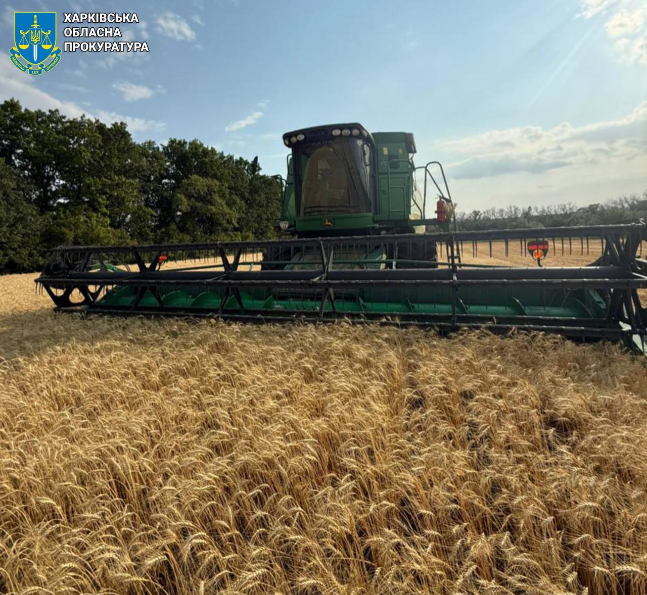 Завдав збитків на сотні тисяч державі            хитрий ділок: Новини Харкова