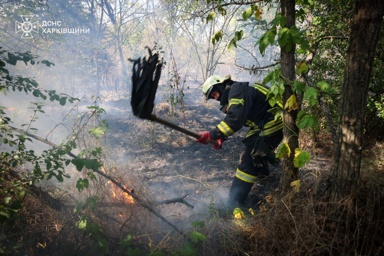 Надзвичайники Харківщини гасять маштабні лісові пожежі (фото)