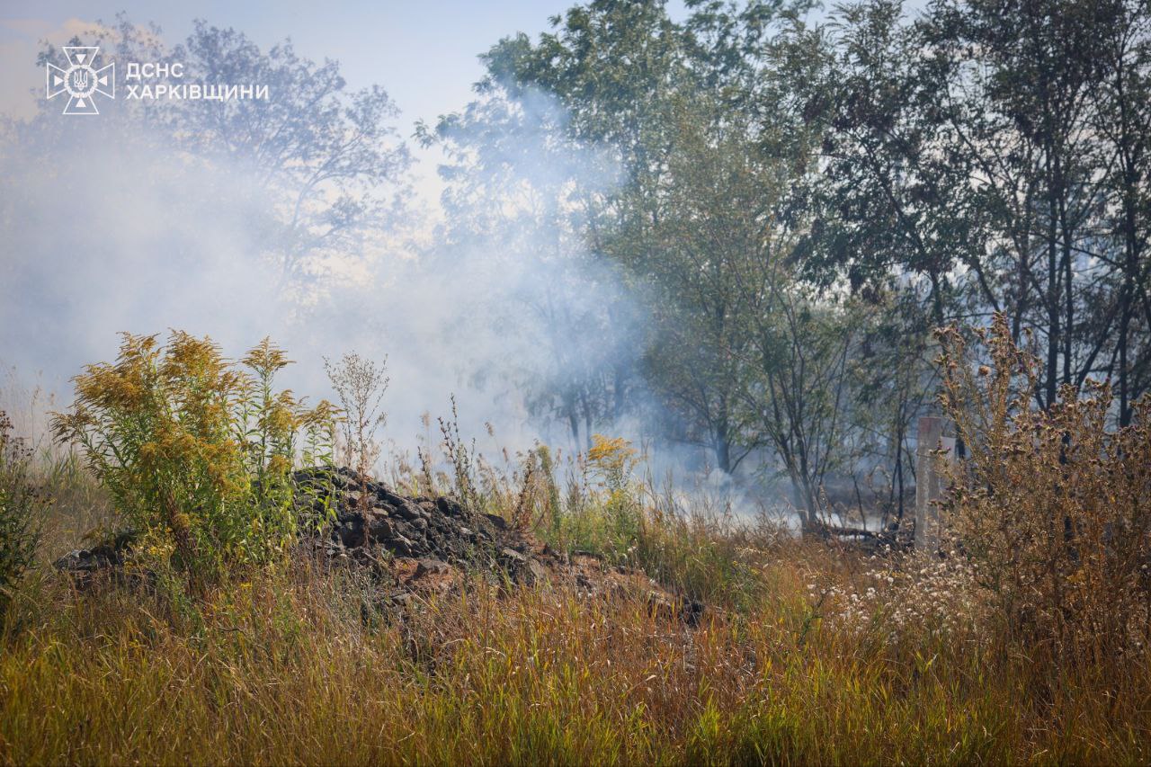 Надзвичайники Харківщини гасять маштабні лісові пожежі (фото)