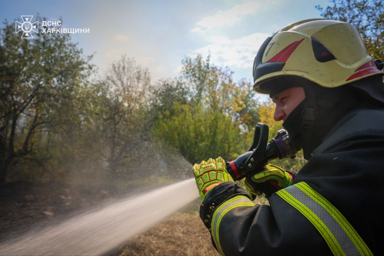 Надзвичайники Харківщини гасять маштабні лісові пожежі (фото)