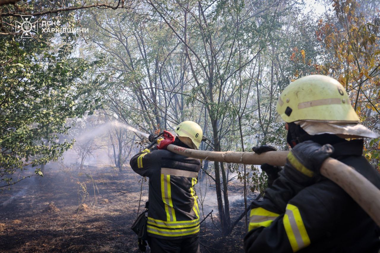Надзвичайники Харківщини гасять маштабні лісові пожежі (фото)