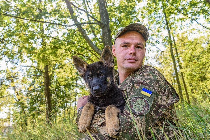 Щеня німецької вівчарки Річард розпочав службу у Слобожанській бригаді НГУ