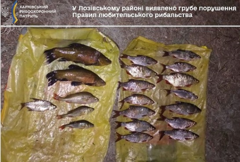 Чоловік у Харківській області ловив рибу сітками