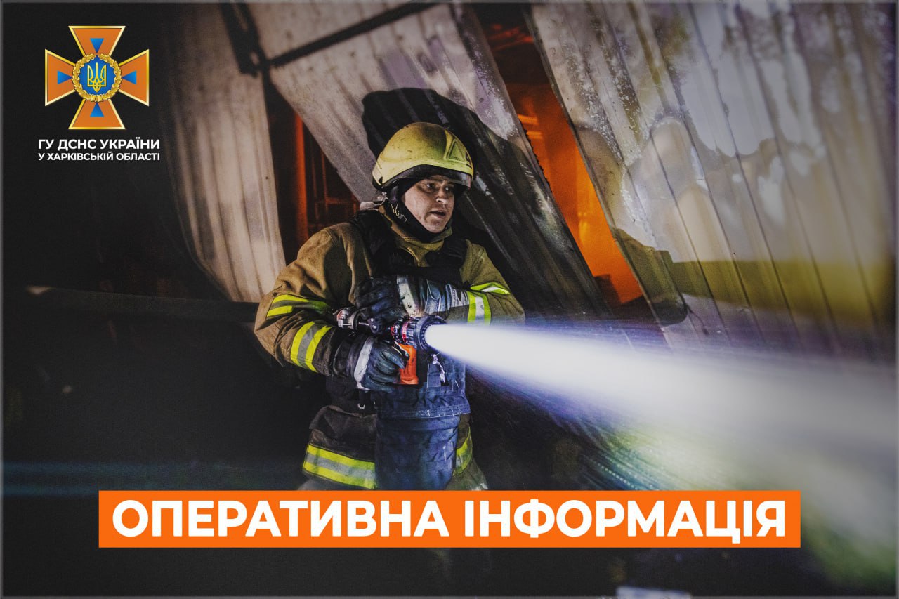дснс