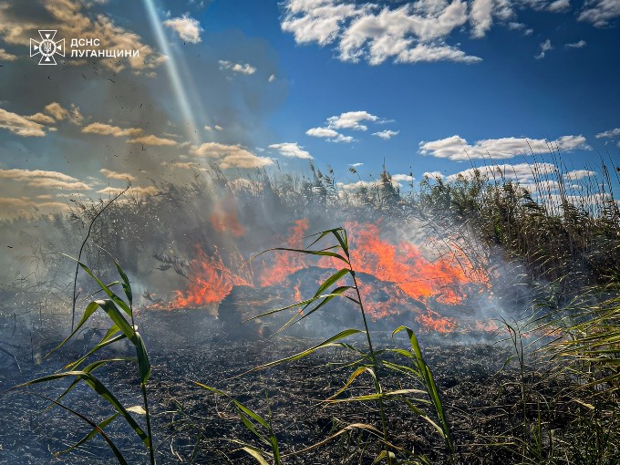 Рятувальники Луганщини ліквідували дві пожежі на Харківщині