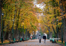Похмурий осінній день у Харкові (фото)