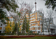 Похмурий осінній день у Харкові (фото)