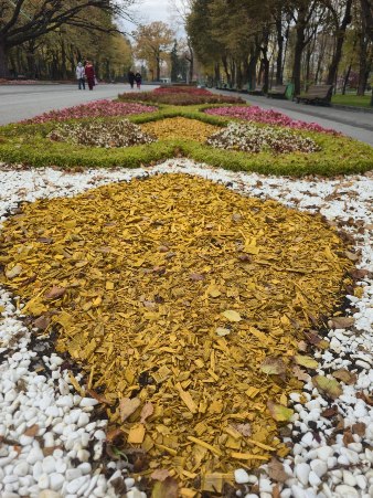 Новини Харкова: в саду Шевченка оновлюють клумби