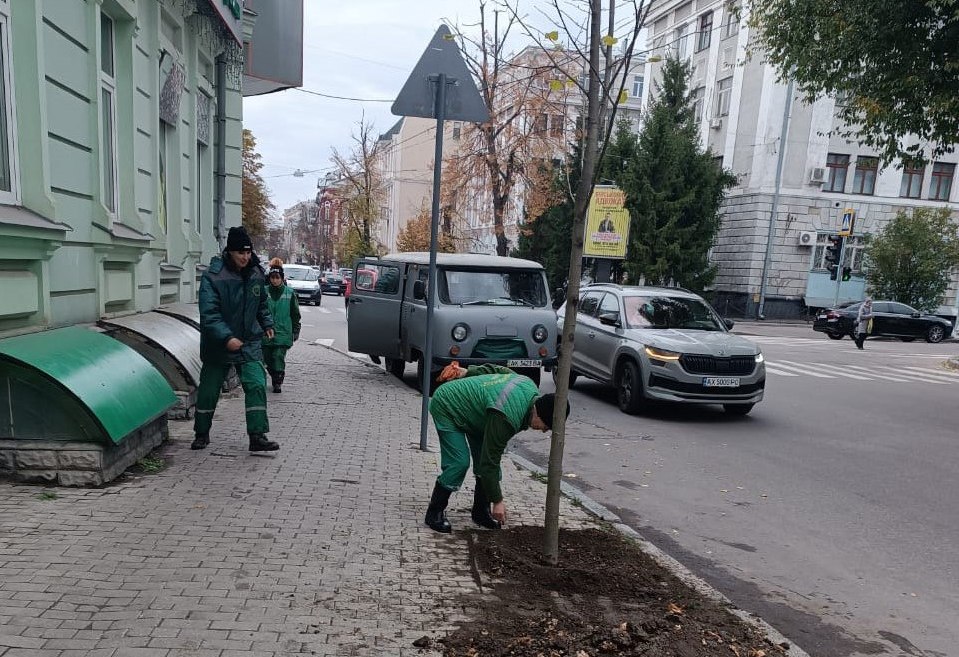 Посадять десятки дерев у центрі міста містяни та комунальники: Новини Харкова
