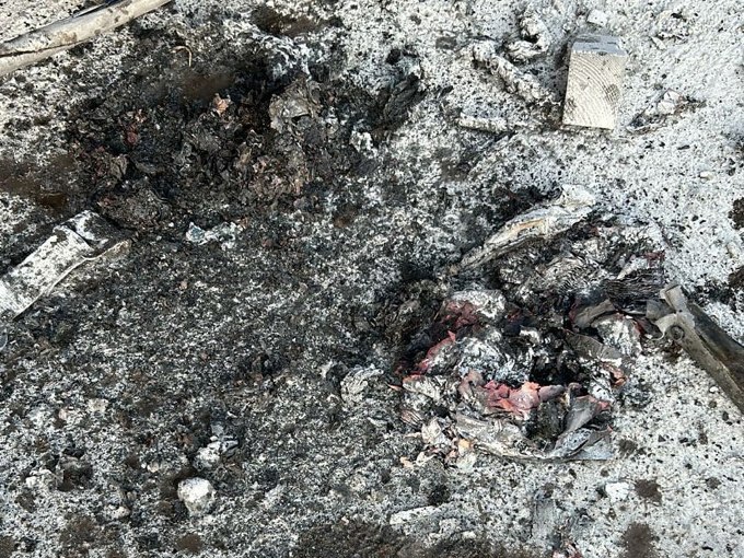 ��� ������� ����������� �� ����� ����� �� �������������� ������ �������