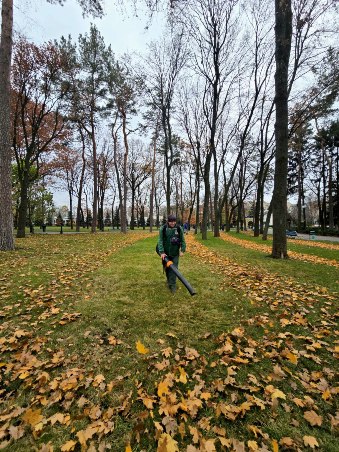 ���������� � ������: � ������������ ����� ������ ����� 700 � �����