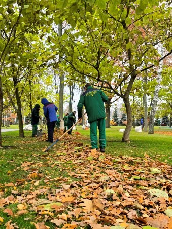 Прибирання у Харкові: у Центральному парку зібрали понад 700 м листя