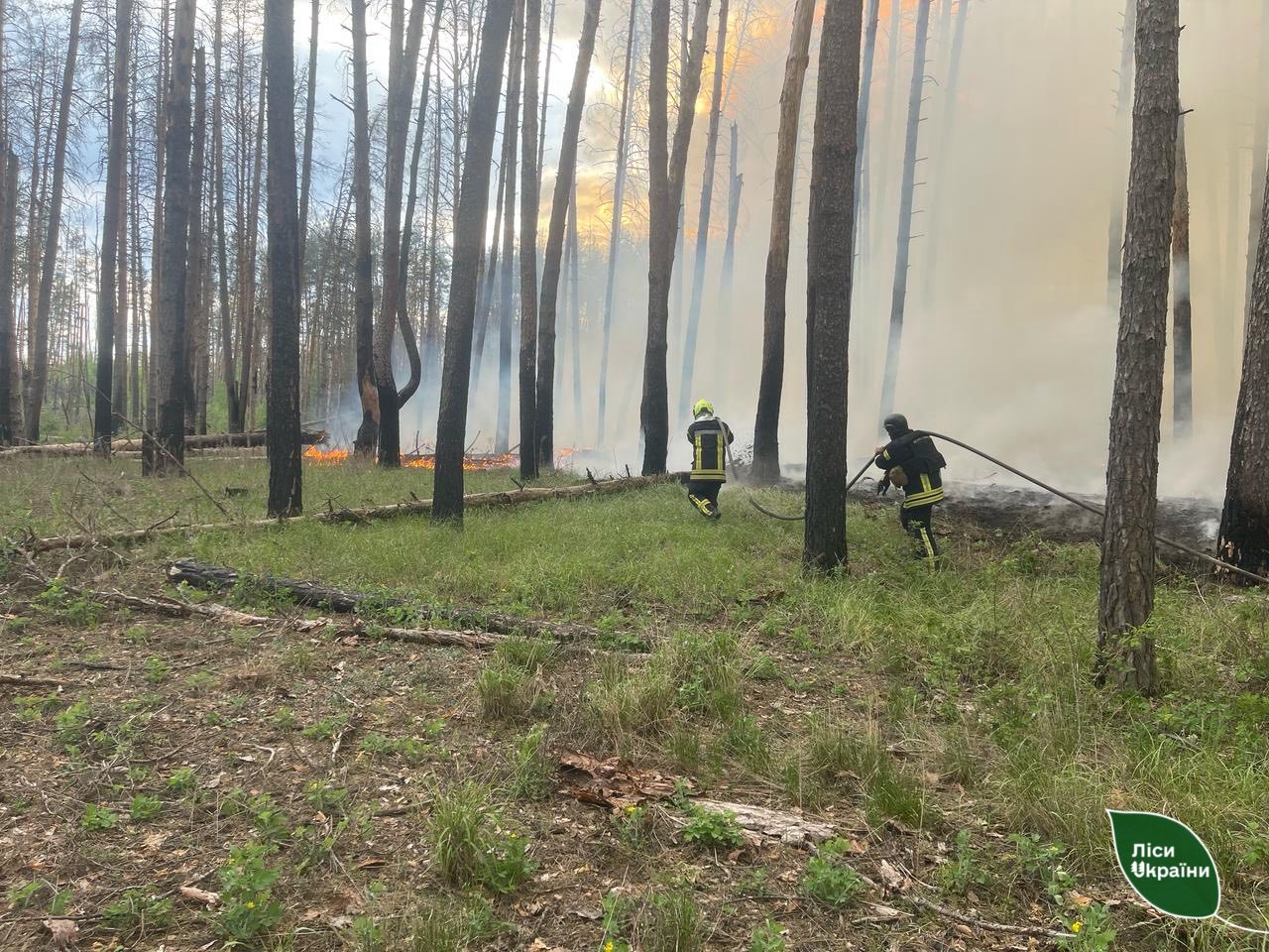 Лісничі підбили підсумки пожежонебезпечного періоду на Харківщині