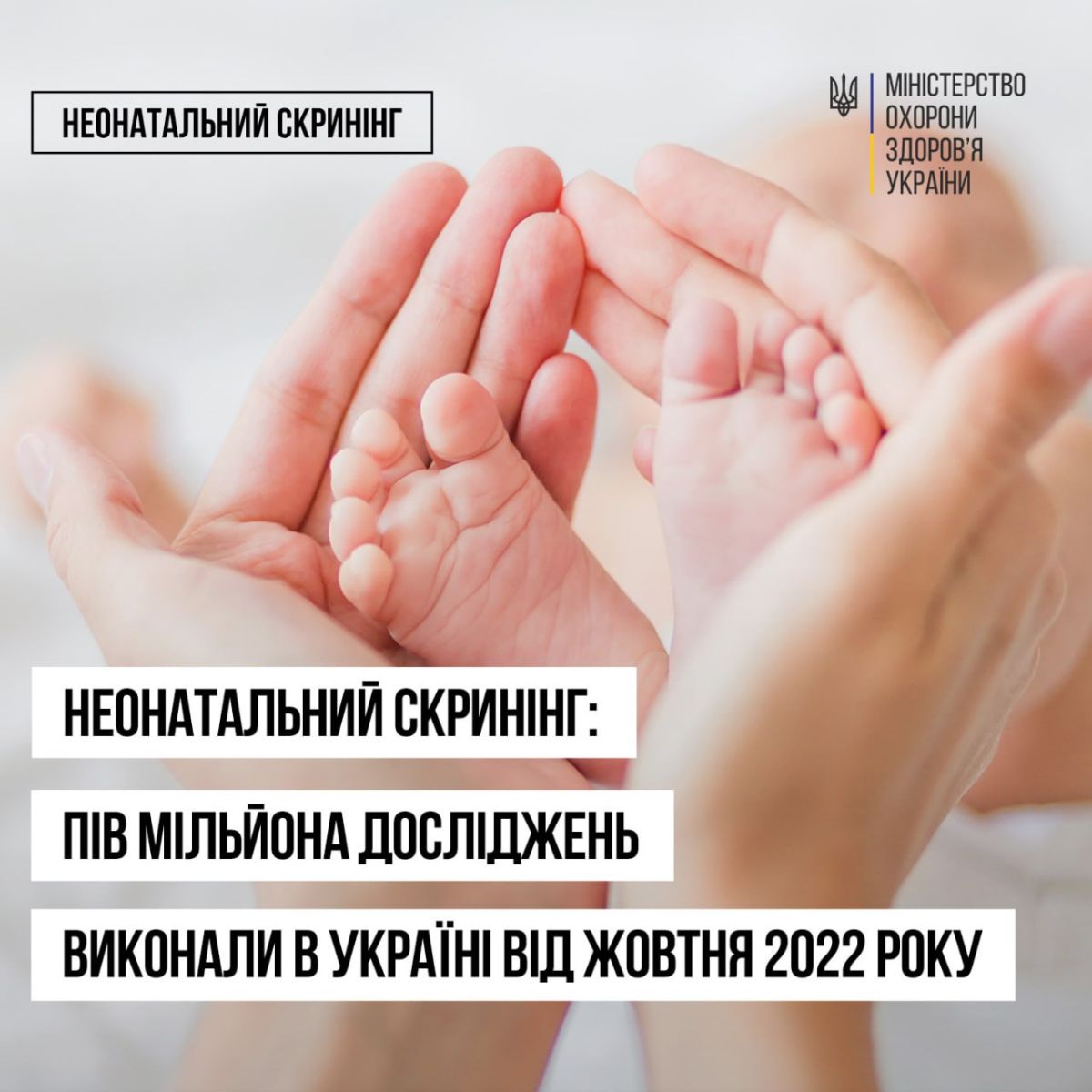 Харківська область серед лідерів з неонатального скринінгу