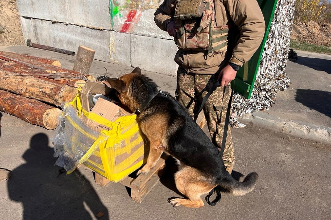 Кінологи бригади «Скіф» затримали авто з великим арсеналом зброї на блокпосту Харкова