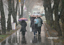У Харкові випав перший сніг (фото)