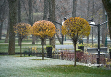 У Харкові випав перший сніг (фото)