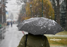 У Харкові випав перший сніг (фото)