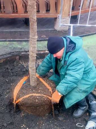 ������� ������ � ���� �������� �����