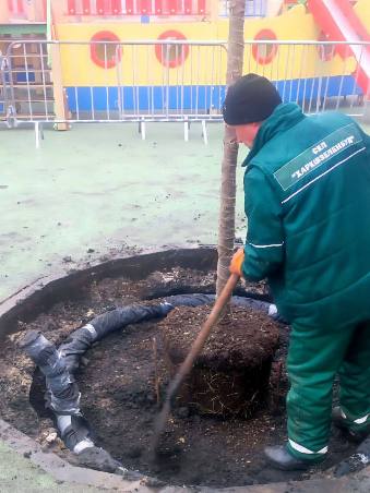 ������� ������ � ���� �������� �����