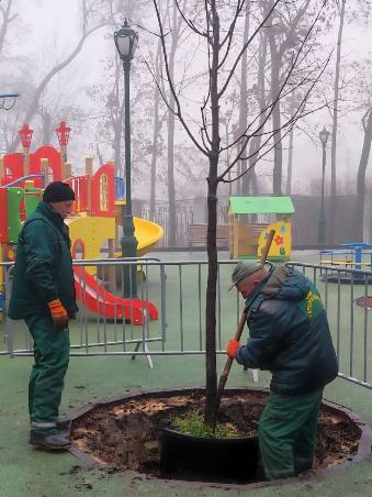 ������� ������ � ���� �������� �����