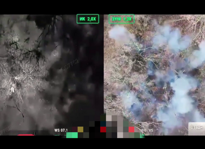 Пілоти «Фенікса» знищили пункт управління БпЛА та штурмові групи рф на Харківщині: відео