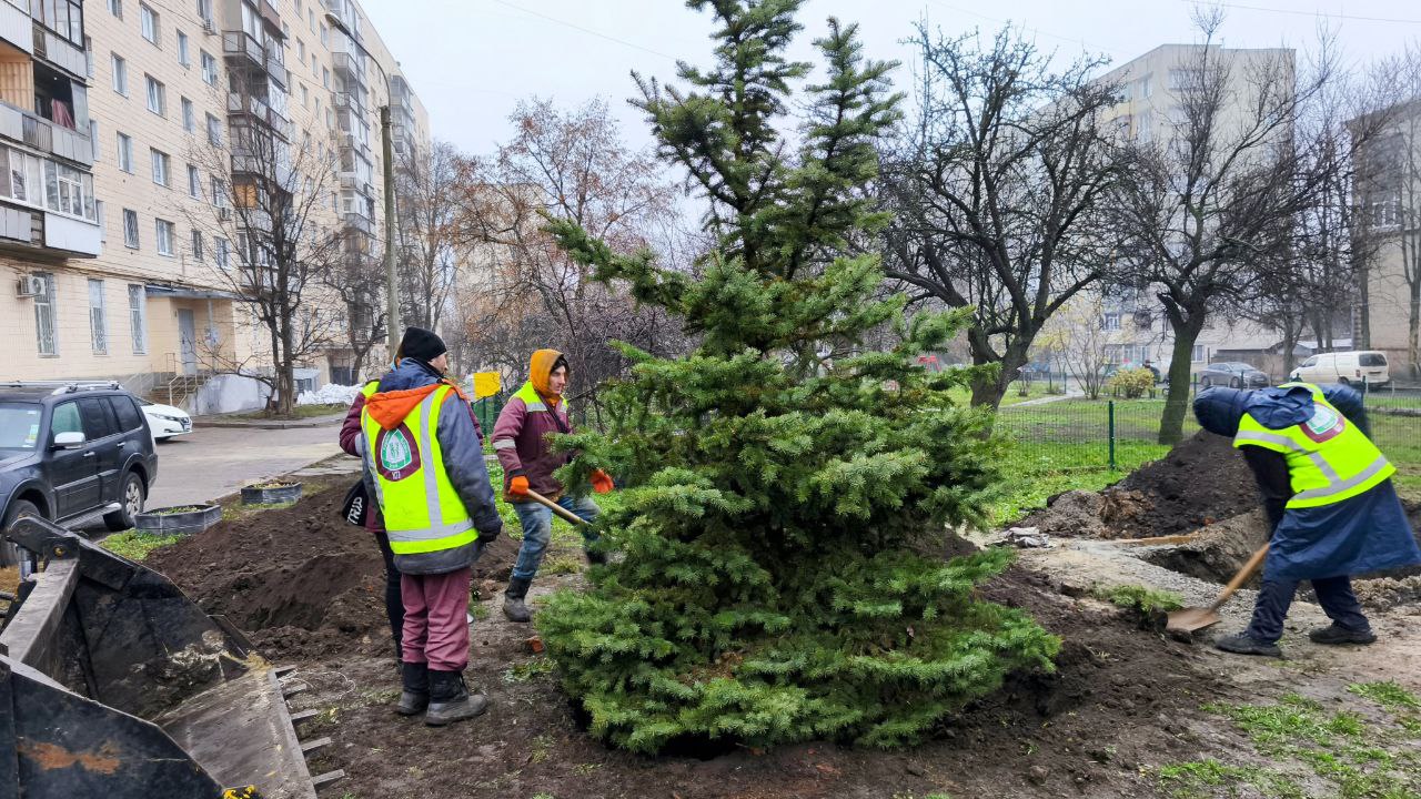 Харківські комунальники висадили ялинки (фото)