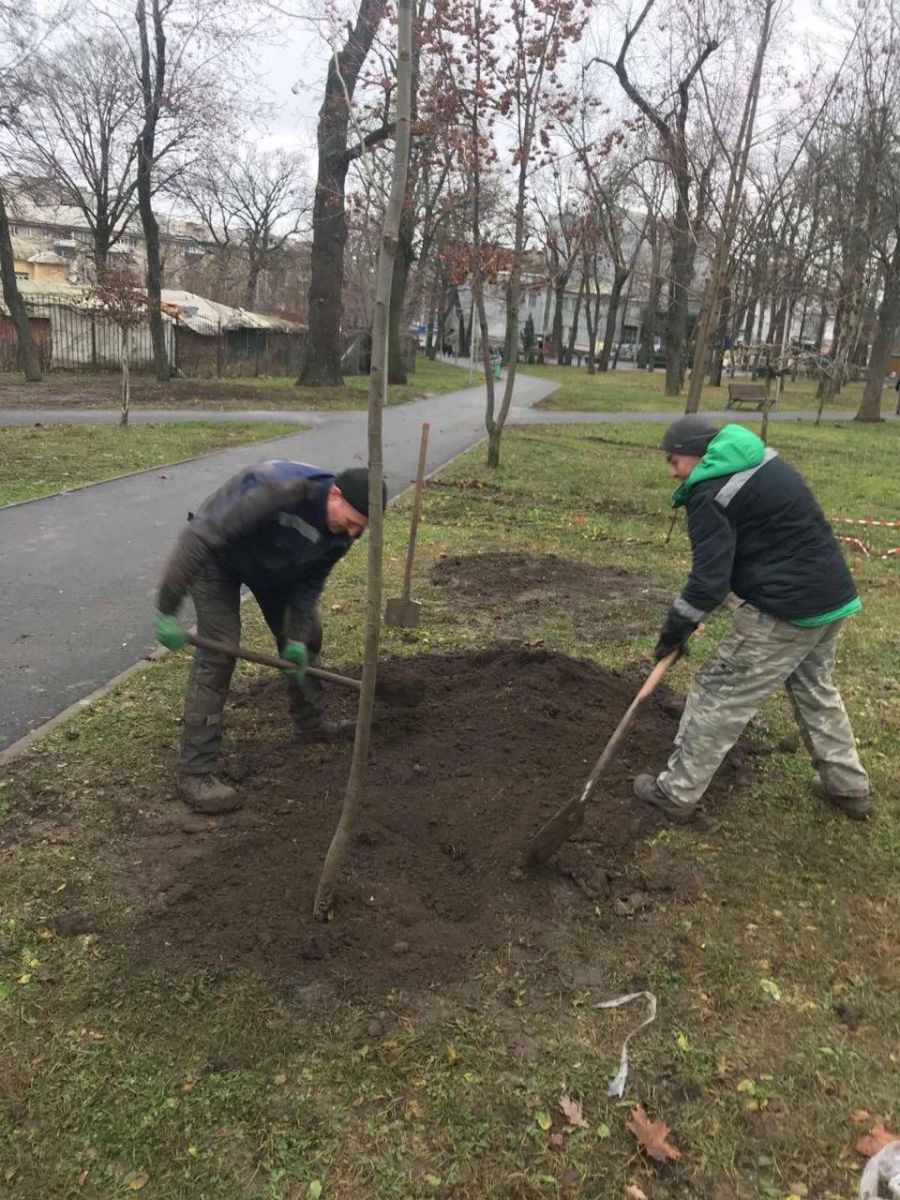 У Харкові щодня наводять лад на території парків