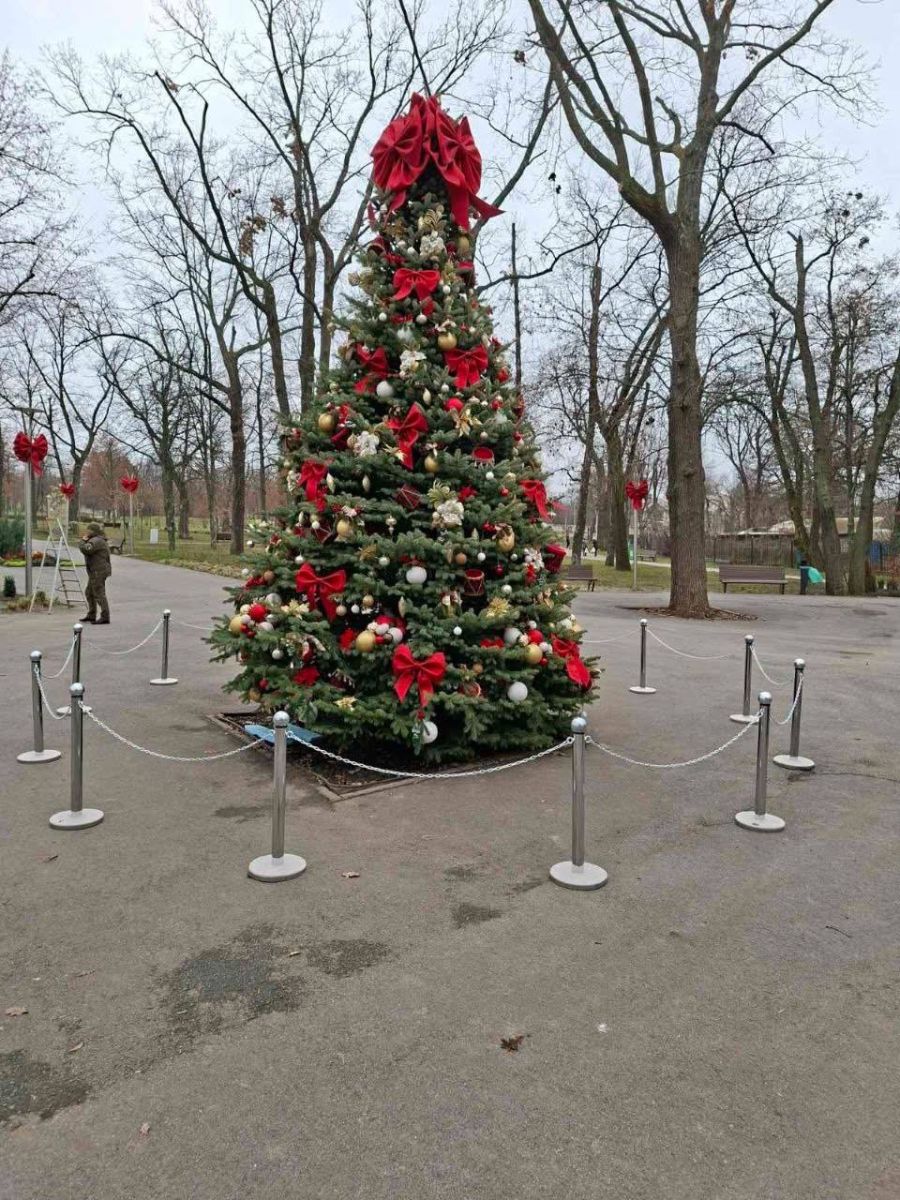Харківські парки готують до зими та новорічних свят