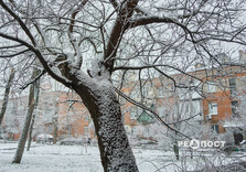 Сніжний ранок у Харкові (фото)