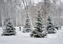 Сніжний ранок у Харкові (фото)