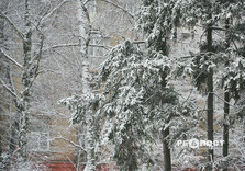 Сніжний ранок у Харкові (фото)