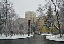 Сніжний ранок у Харкові (фото)