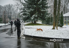 Сніжний ранок у Харкові (фото)