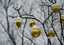 Сніжний ранок у Харкові (фото)