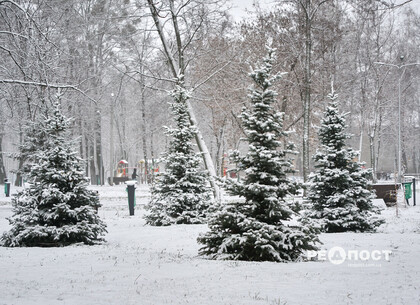 У Харківській області очікуються пориви вітру та ожеледиця