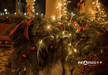 У Центральному парку Харкова тимчасово увімкнули святкову ілюмінацію (фото)