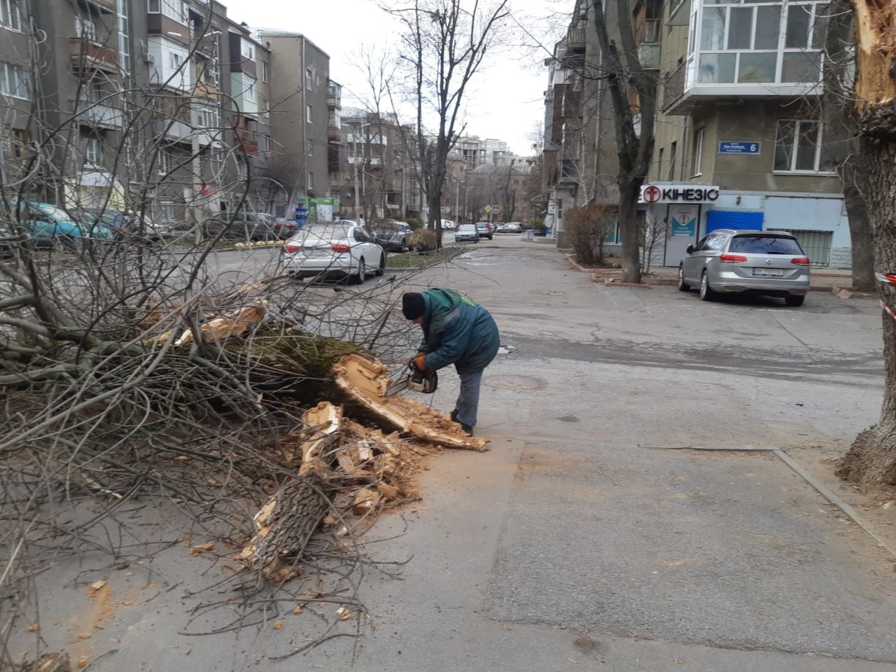 У Харкові ліквідують наслідки нічного буревію (фото)