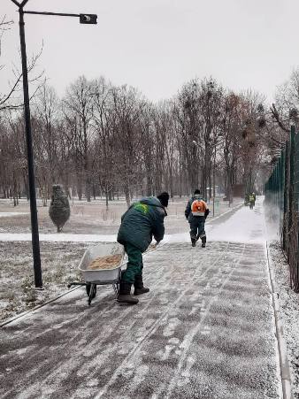 «Харківзеленбуд» усуває наслідки буревію в місті