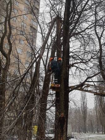 «Харківзеленбуд» усуває наслідки буревію в місті