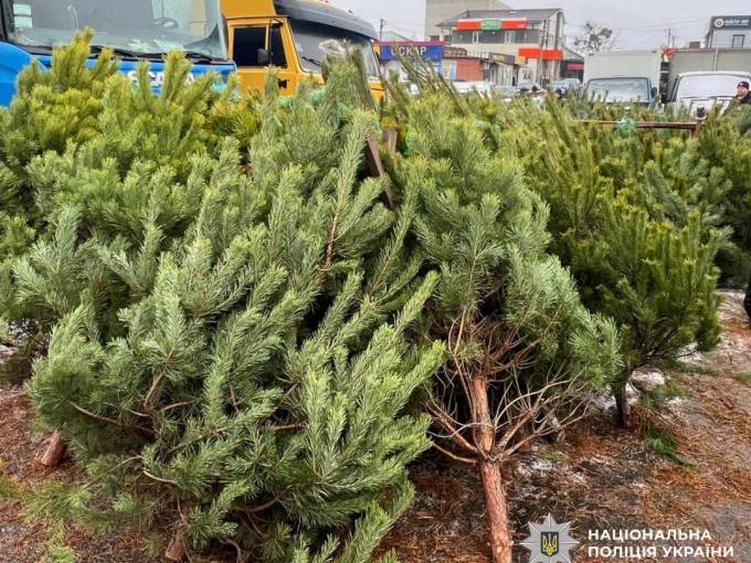 Новини Харкова: місця продажу новорічних ялинок перевіряє поліція